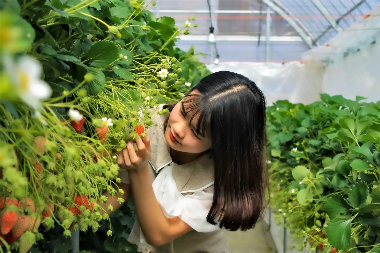 深圳智能科技企业如何通过系统集成实现设备智能化升级与智慧管理
