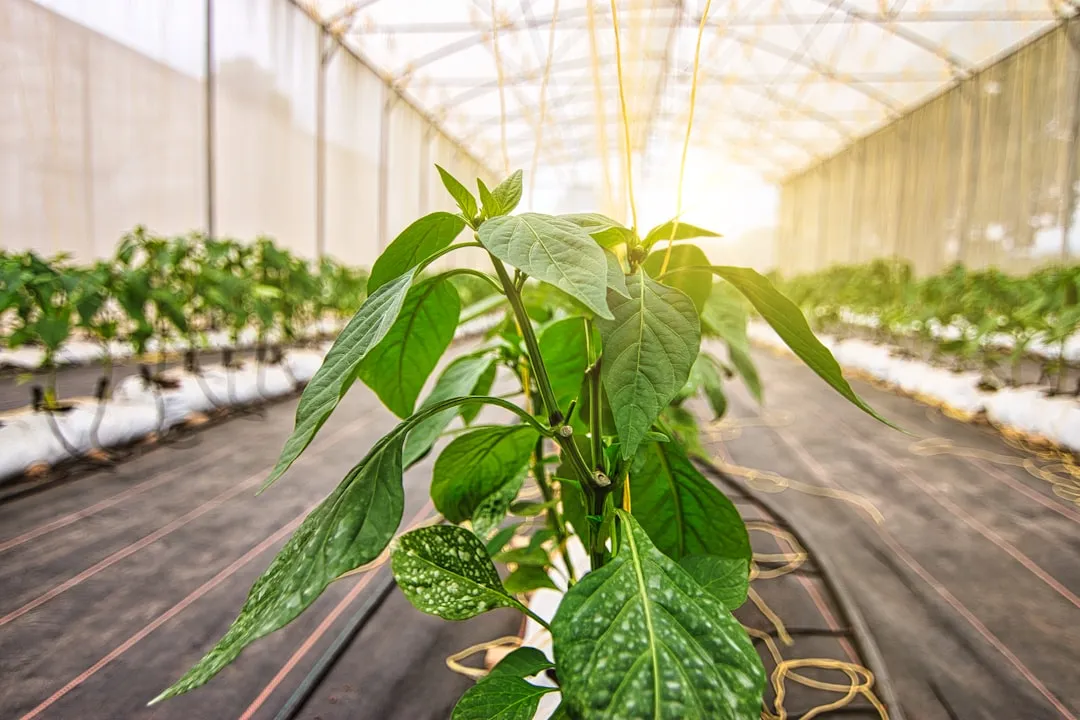 深圳中智明科智能设备系统集成方案在华南企业的典型应用场景分析