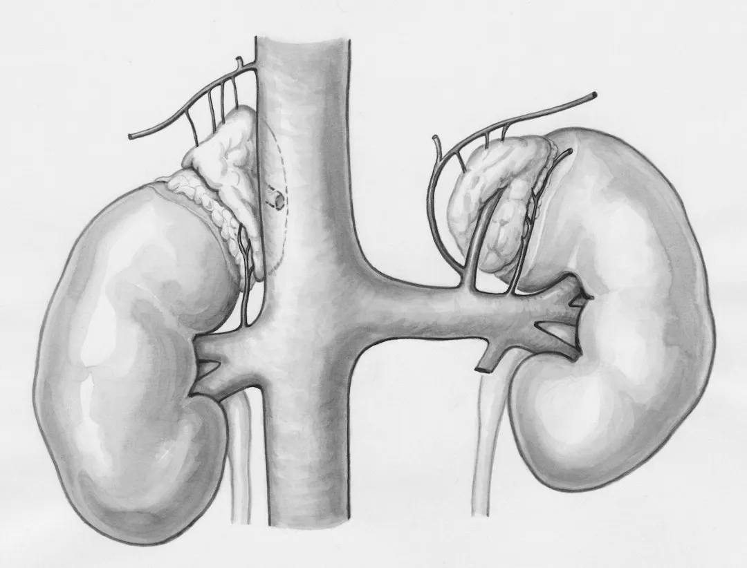 深圳中智明科智能设备系统集成方案：技术架构与实施路径解析